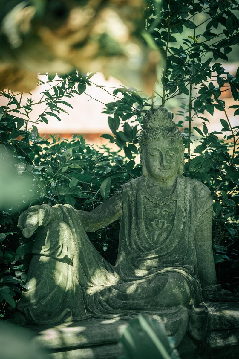 Outdoor Zen