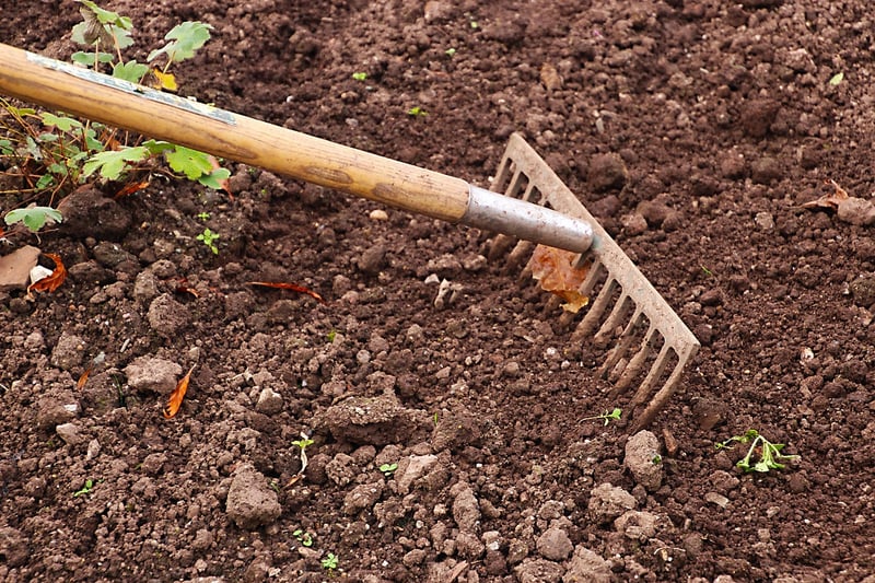 Tools for Raking